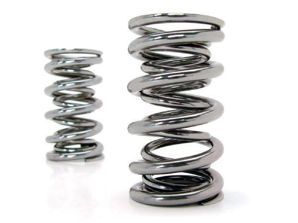Concentric spring