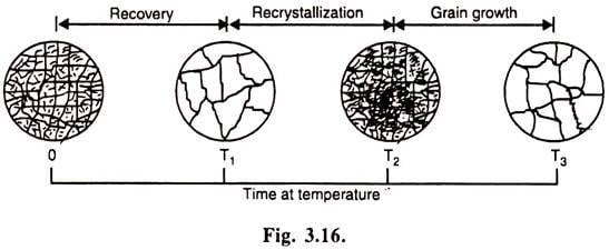 Recovery recrystallization and grain growth